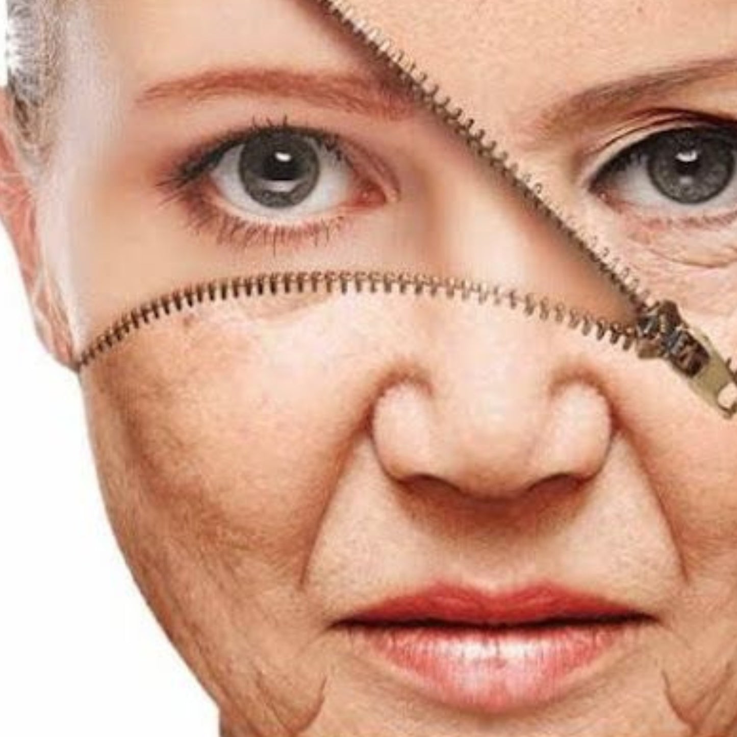 Fibroblasto Full face